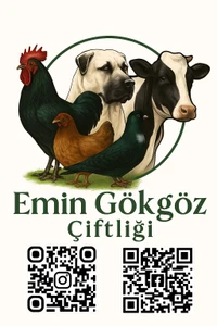 EMİN GÖKGÖZ