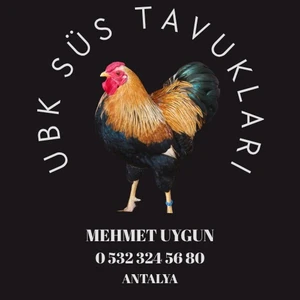 UBK