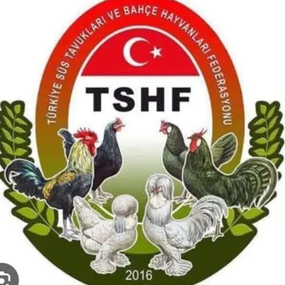 Fatih PEHLİVAN