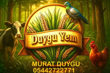 Duygu Yem