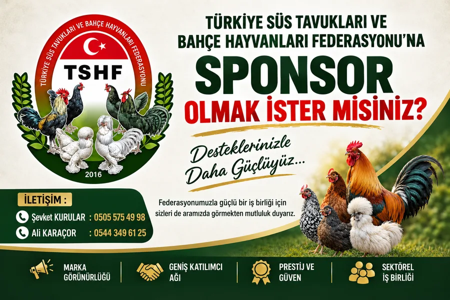 SPONSOR