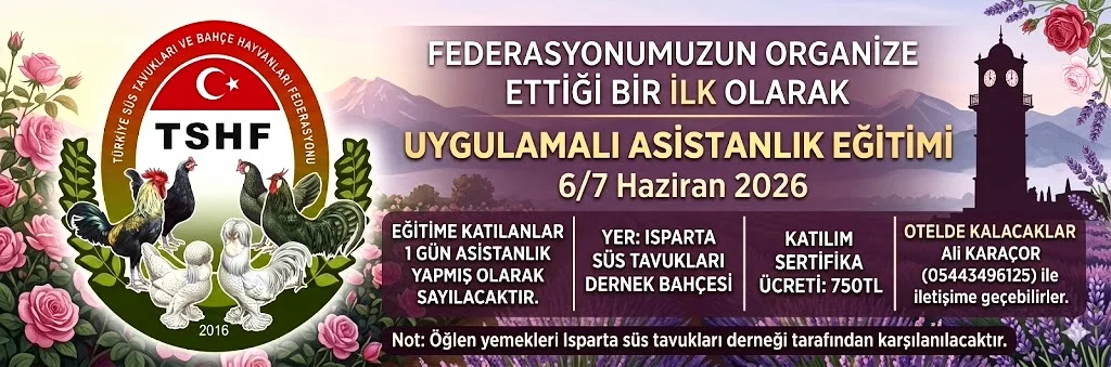 Uygulamalı Asistanlık Eğitimi !