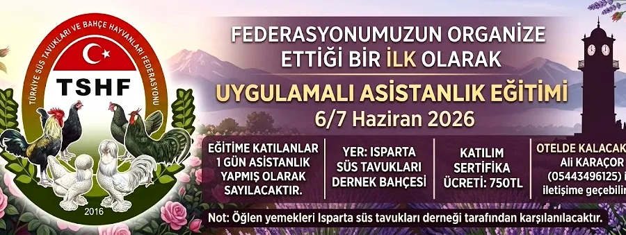Uygulamalı Asistanlık Eğitimi