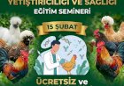 Süs Tavukları Yetiştiriciliği ve Sağlığı: Ücretsiz Çevrim İçi Eğitim Semineri!