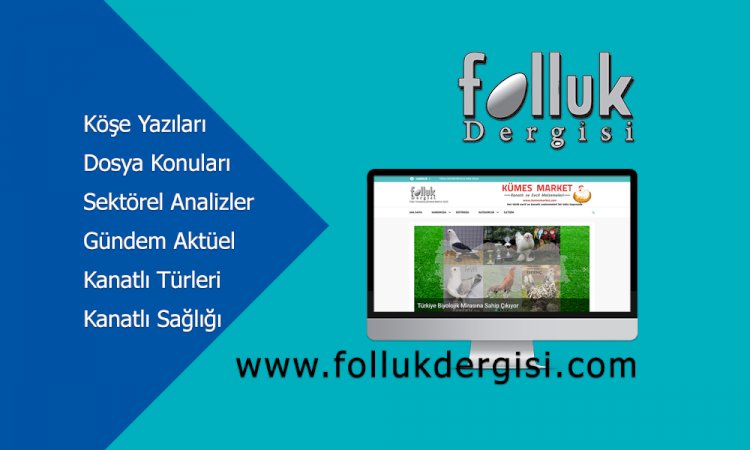 Türkiye’nin İlk Kanatlı Haber Sitesi Açıldı